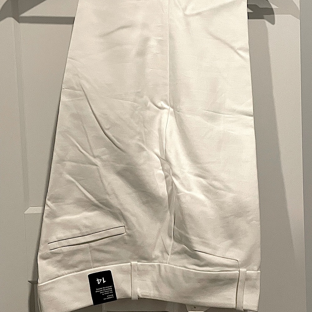 NWT The Limited Pencil White Pants